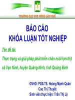 Thực trạng và giải pháp phát triển chăn nuôi lợn thịt