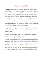 Ngữ pháp và ngữ pháp học pps