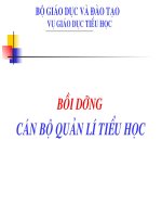 bồi dưỡng cán bộ quản lý  tiểu học