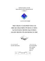 Thực trạng và giải pháp nâng cao hiệu quả hoạt động tín dụng cá nhân tại ngân hàng thương mại cổ phần sài gòn thương tín chi nhánh cần thơ