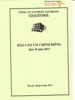 công ty cổ phần tập đoàn vinacontrol báo cáo tài chính riêng quý 2 năm 2013
