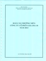 công ty cổ phần lilama báo cáo thường niên 2013