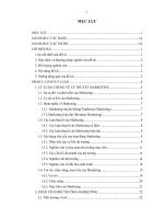 Hoàn thiện công tác marketing tại công ty cổ phần phụ liệu may nha trang