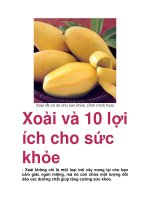 Xoài và 10 lợi ích cho sức khỏe pot