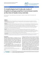 Báo cáo khoa học: 