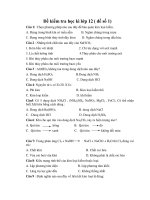 Đề kiểm tra học kì lớp 12 ( đề số 1) ppt