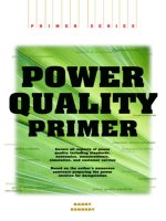 CƠ SỞ LÝ THUYẾT VỀ CHẤT LƯỢNG ĐIỆN (Power Quality Primer)