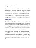 Lãng mạn hoa cài áo pot