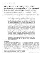 Báo cáo khoa học: 