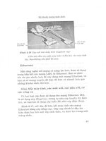 Network - Kỹ thuật mạng máy tính part 2 pot