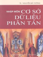 Nhập môn cơ sở dữ liệu phân tán part 1 pot