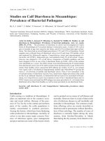 Báo cáo khoa học: 