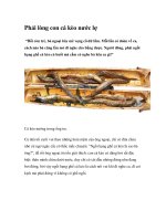 Phải lòng con cá kèo nước lợ pot