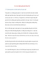 Cơ sở xác định nguồn gốc tiếng Việt pptx