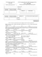 KỲ THI TUYỂN SINH LỚP 10 THPT NĂM HỌC 2010-2011 - MÃ ĐỀ 132 pps