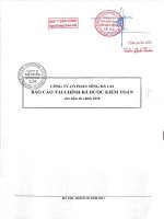 công ty cổ phần sông đà 1.01 báo cáo tài chính đã được kiểm toán cho năm tài chính 2010