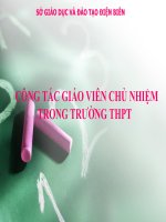 Công tác giáo viên chủ nhiệm trong trường THPT pdf