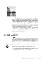 Cisco CCIP MPLS Study Guide phần 7 doc