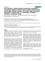 Báo cáo khoa học: 