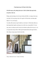 Công dụng trang trí bất ngờ từ dây thừng pot