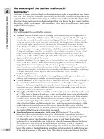 The Anaesthesia Science Viva Book - part 2 ppt