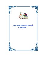 Đề tài quy trình công nghệ sản xuất cyclodetrin