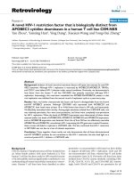 Retrovirology Research BioMed Central Open Access A novel HIV-1 restriction factor that is potx