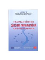 HỖ TRỢ THƯƠNG MẠI ĐA BIÊN 2 - CƠ CHẾ HOẠT ĐỘNG CỦA WTO - 1 potx