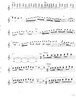 Độc tấu Guitar - New Flamenco part 6 ppsx