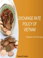 EXCHANGE RATE POLICY OF VIETNAM pps