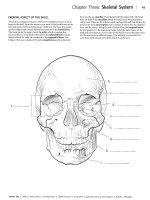 Kaplan anatomy coloring book - part 2 pot