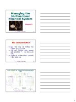 GIÁ TRỊ CỦA HỆ THỐNG TÀI CHÍNH ĐA QUỐC GIA - THS. HUỲNH THỊ THÚY GIANG doc