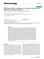 Retrovirology Research BioMed Central Open Access Recruitment of HIV-1 envelope occurs subsequent ppt