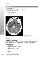 Radiology for Anaesthesia and Intensive Care - Part 8 doc