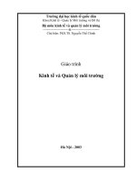 Kinh tế và quản lý môi trường ( Chủ biên PGS.TS. Nguyễn Thế Chinh ) - Chương mở đầu pptx