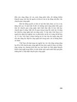 HỖ TRỢ THƯƠNG MẠI ĐA BIÊN 2 - TỰ VỆ NGOẠI LỆ TRONG WTO - TS. NÔNG QUỐC BÌNH - 1 potx