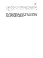 GIA NHẬP WTO VÀ NHỮNG TÁC ĐỘNG ĐỐI VỚI TÌNH HÌNH PHÂN PHỐI THU NHẬP Ở VIỆT NAM - 3 pptx