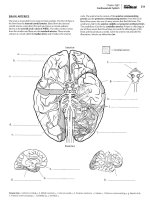Kaplan anatomy coloring book - part 6 potx