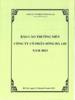 báo cáo thường niên công ty cổ phần sông đà 1.01 năm 2013
