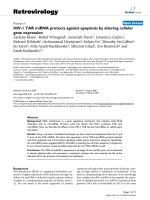 Retrovirology Research BioMed Central Open Access HIV-1 TAR miRNA protects against apoptosis by ppt