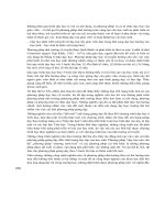 TÂM LÝ HỌC LỨA TUỔI TIỂU HỌC VÀ TÂM LÝ HỌC SƯ PHẠM - LÊ NGỌC LAN - 4 potx