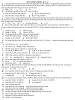 PHÂN NHÓM CHÍNH I, II VÀ Al pps