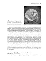 Cardiovascular Imaging A handbook for clinical practice - Part 2 pps