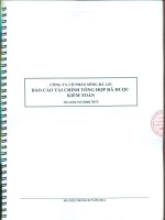 công ty cổ phần sông đà 1.01 báo cáo tài chính tổng hợp đã được kiểm toán cho năm tài chính 2013