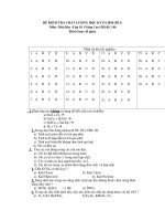 ĐỀ KIỂM TRA CHẤT LƯỢNG HỌC KỲ II (2010-2011) Môn : Hóa Học - Mã đề: 146 pot