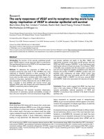 Báo cáo khoa học: 