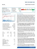 báo cáo định giá ngành săm lốp ngày 02 tháng 01 năm 2014 công ty cổ phần cao su đà nẵng