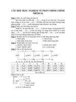 CÂU HỎI TRẮC NGHIỆM VỀ PHÂN NHÓM CHÍNH NHÓM IA pdf