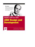 Expert one-on-one J2EE Design and Development phần 1 doc