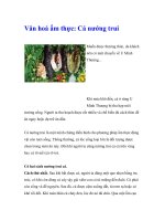 Văn hoá ẩm thực: Cá nướng trui docx